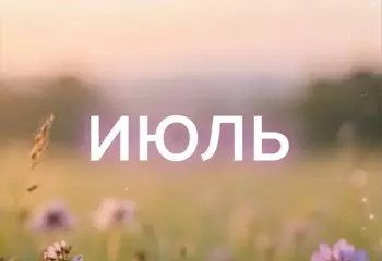 371247D8-41A3-488F-8ED4-C718203EB80A